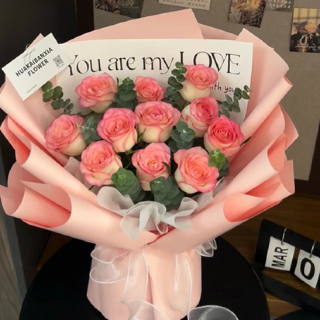 （浩晨）11支艾莎搭配尤加利