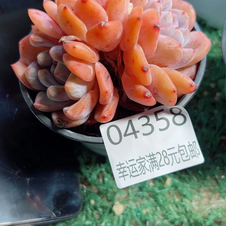 幸运的是我还没遇到过这样