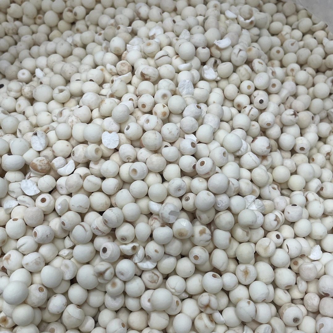 芡实 去皮芡实 无皮
