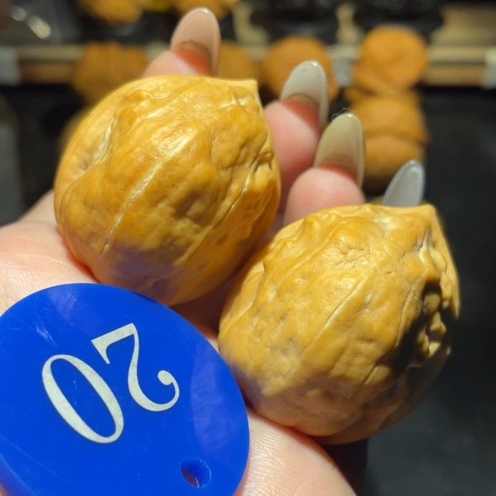 马头琴35尺寸核桃