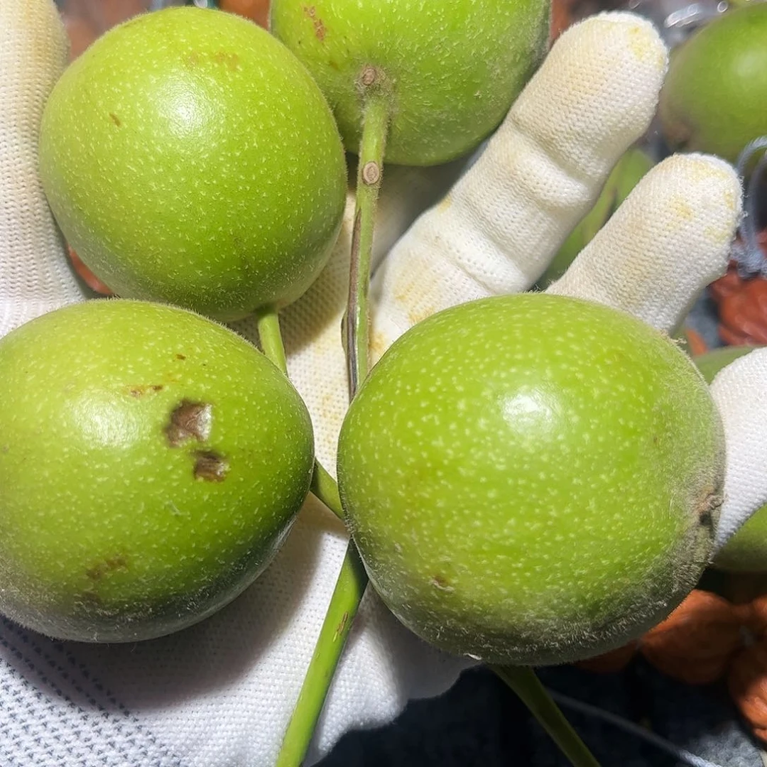 文玩核桃手串%青皮