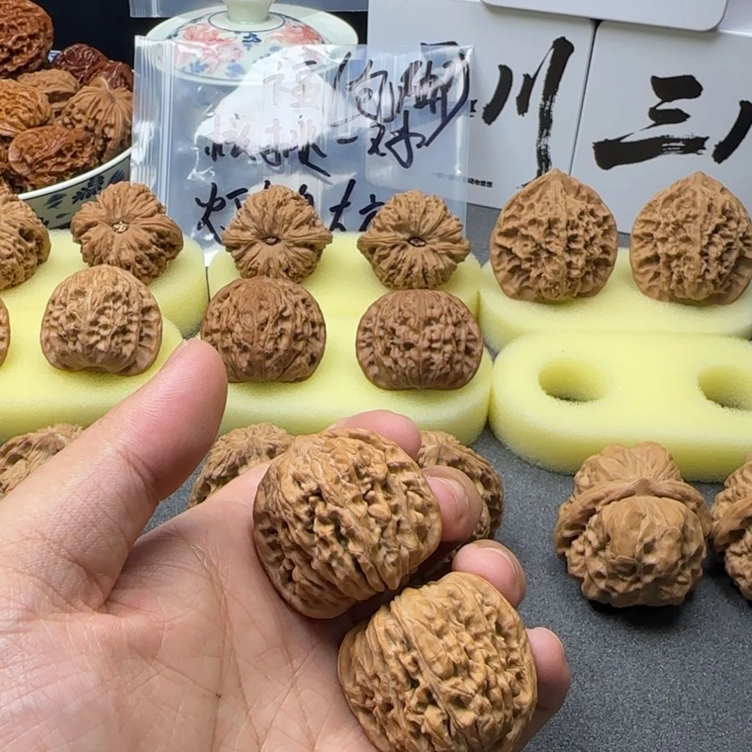 用****琴36四座楼楼楼楼楼