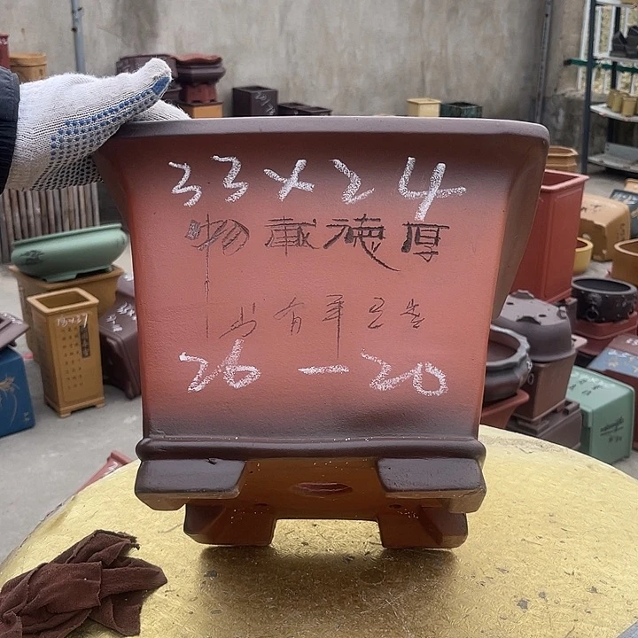 紫砂花盆紫紫好漂亮