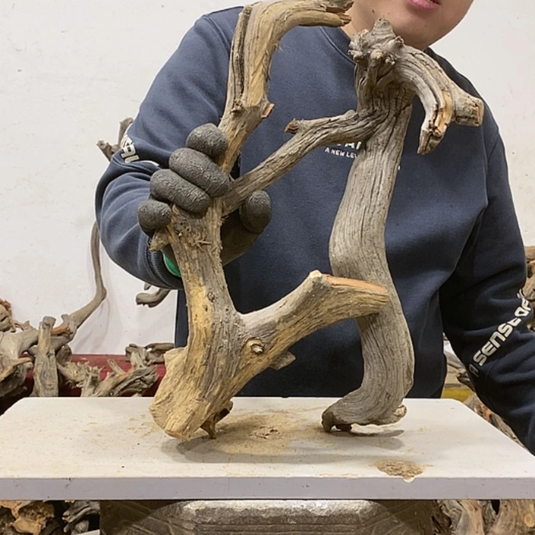 【闪购商品】柏木古**香我们都是好孩子