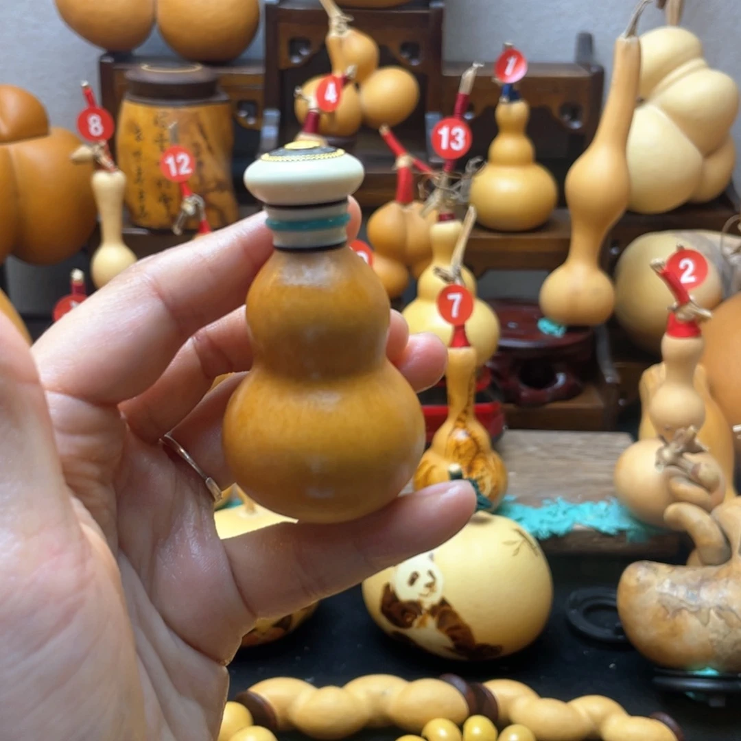 M***?大自然的秘密第十一节你是什么