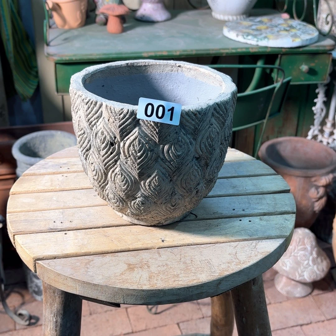 刘****许纯的花房孤品001