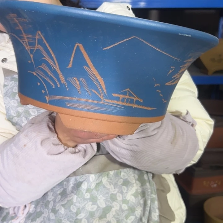 33蓝票口花盆花盆花盆花盆