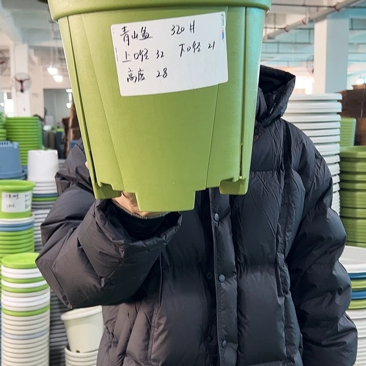 特价青山口32高28果绿无托5只