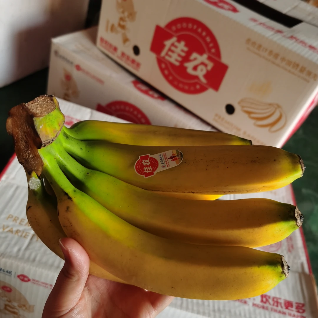 佳农香蕉5斤