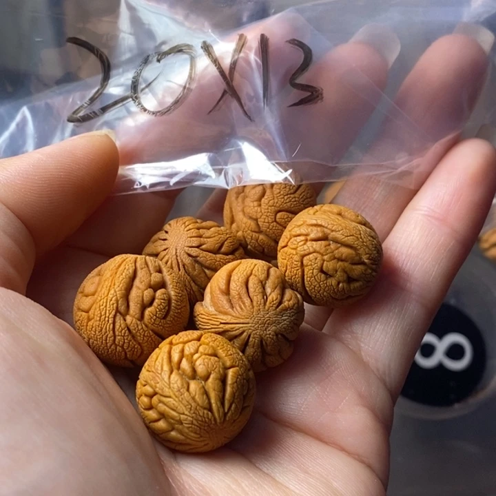 手串文玩核桃秦岭野生龙纹桃核20