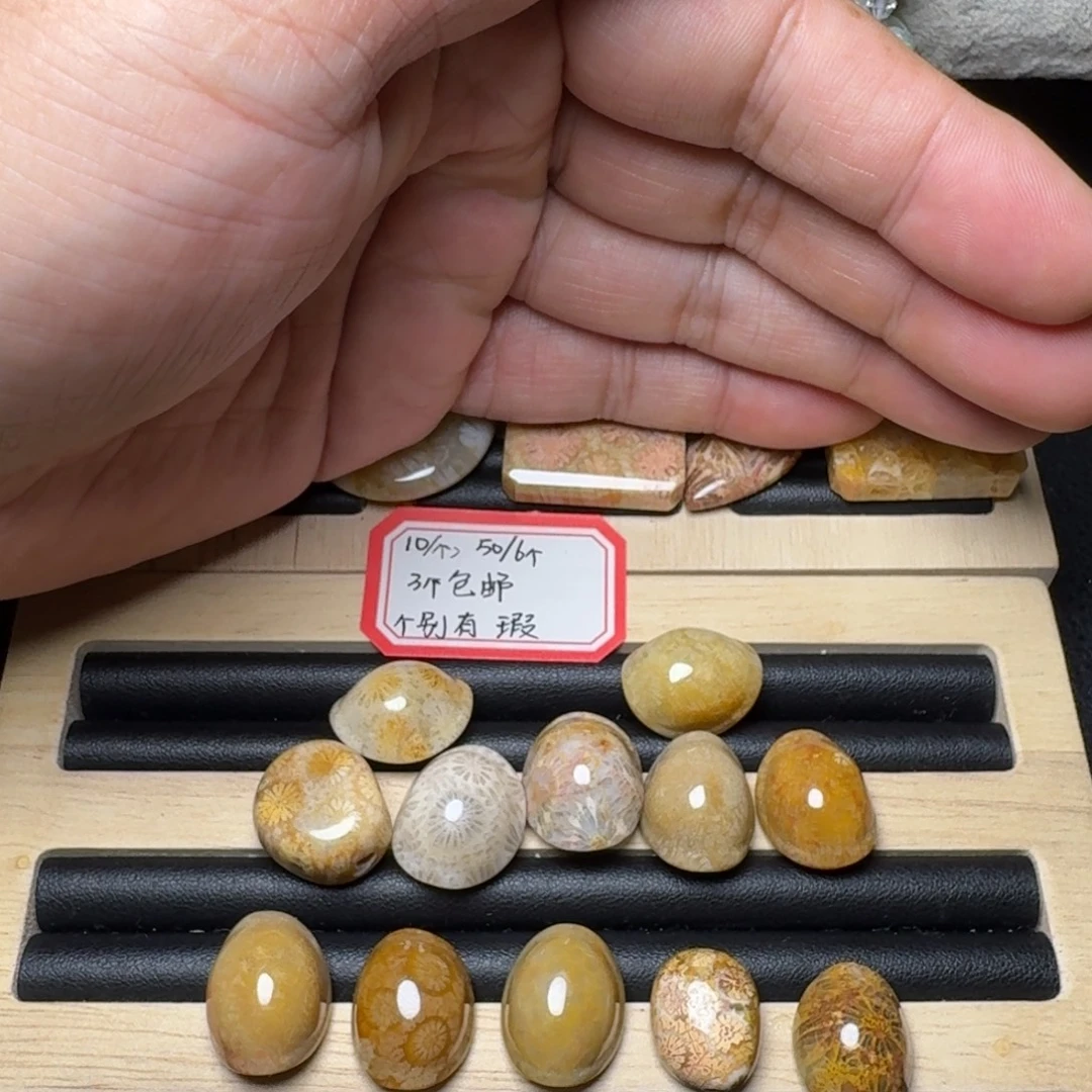 彩***鱼硅化玉未镶嵌纯天然色有机玉石保真色