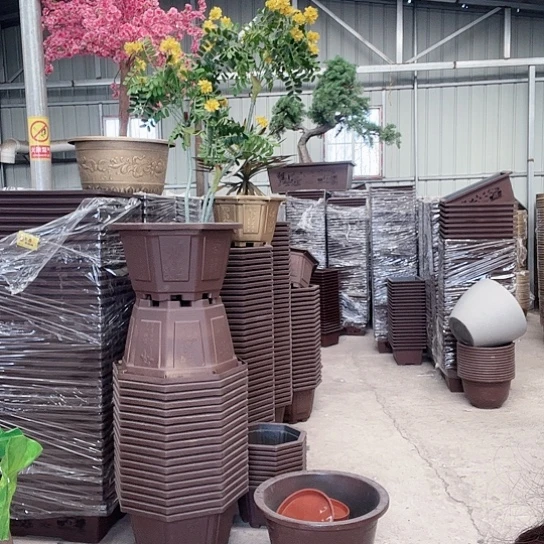 复合盆景制作方法