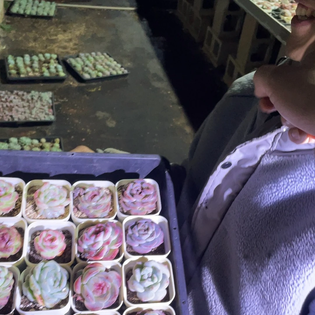 204。   带筐发货。