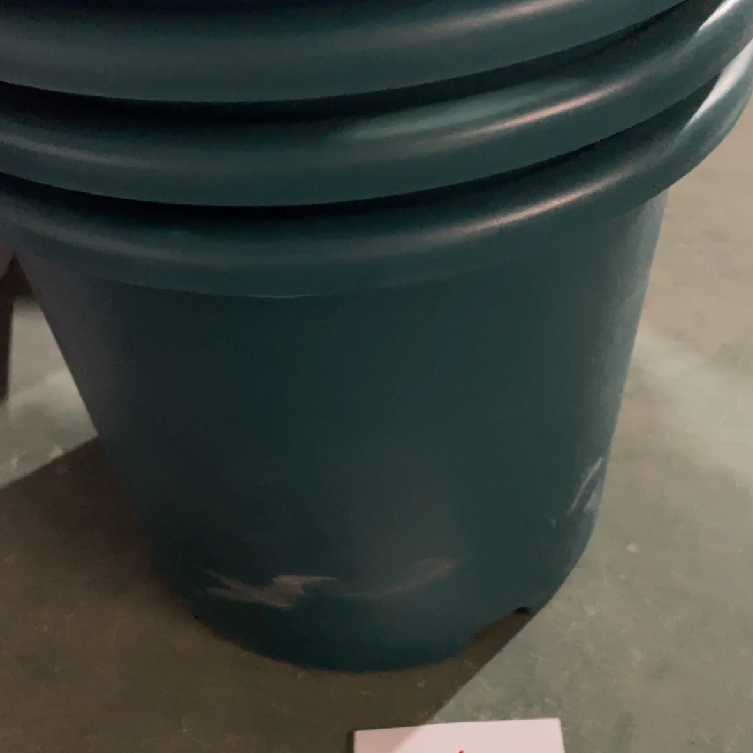 编号是61号的61号的