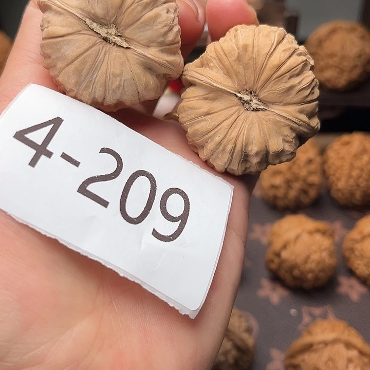 核桃41全品南瓜墩4209
