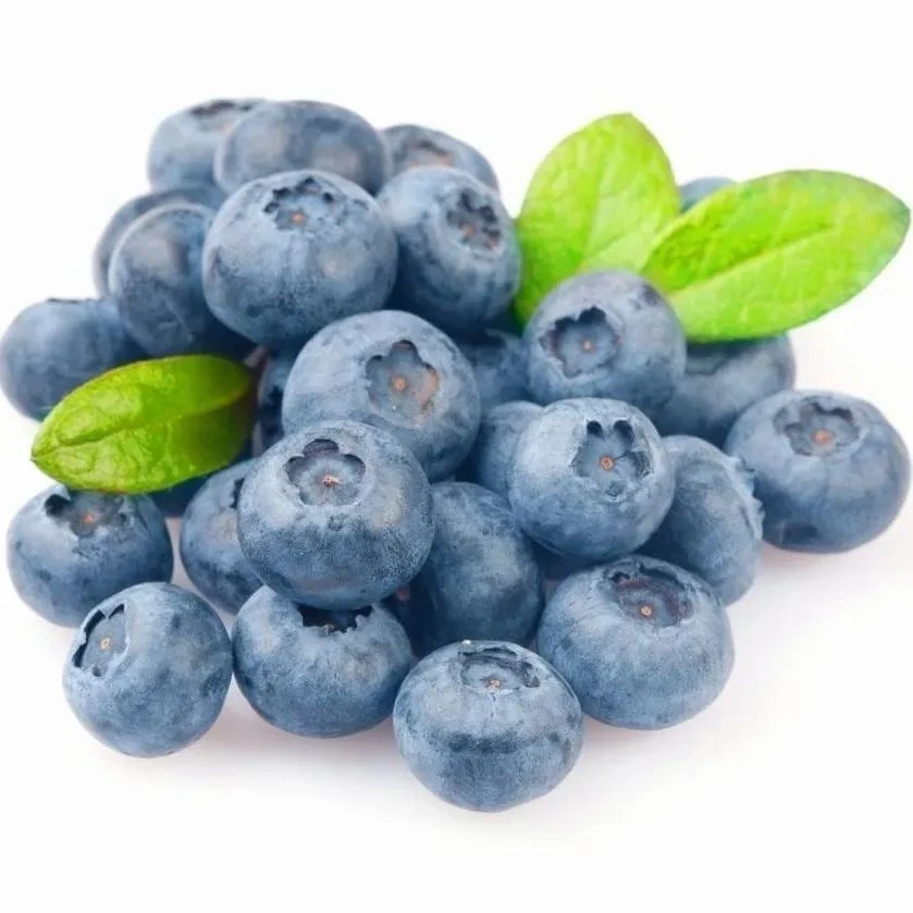 【兰州同城小时达】云南高黎贡山Jumbo蓝莓17+mm 大蓝莓1500g-1800g /盒装粉丝福利专享云南省