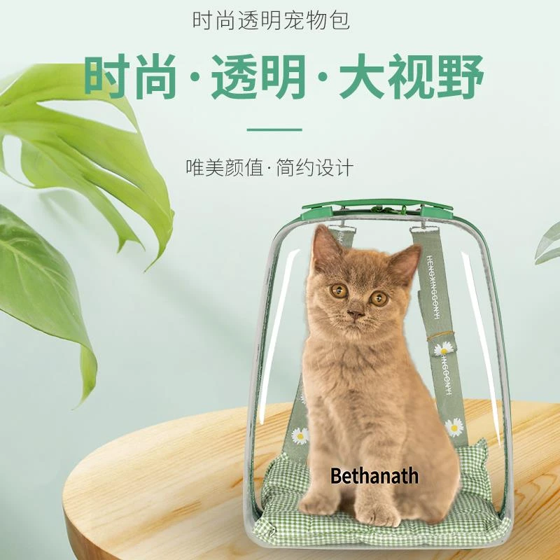 FAVMARTHA猫包猫背包外出大号猫咪包熊猫太空舱宠物包背猫包五月