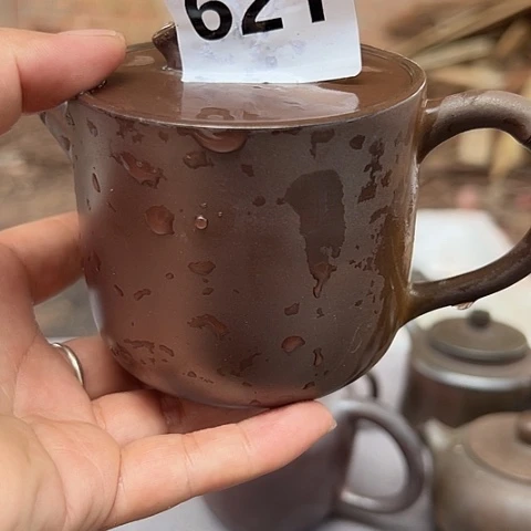 颗**家戬谷龙窑柴烧茶壶621