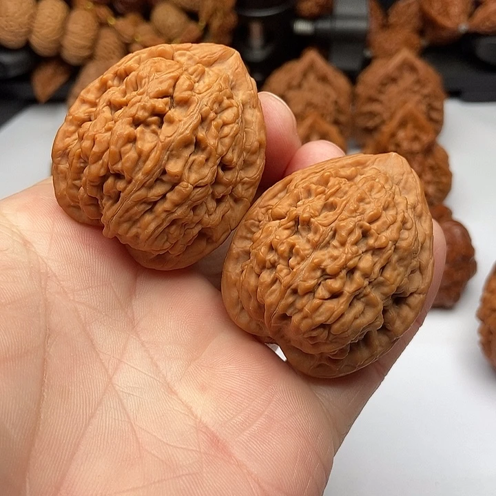 文玩核桃把件蚂蚁王