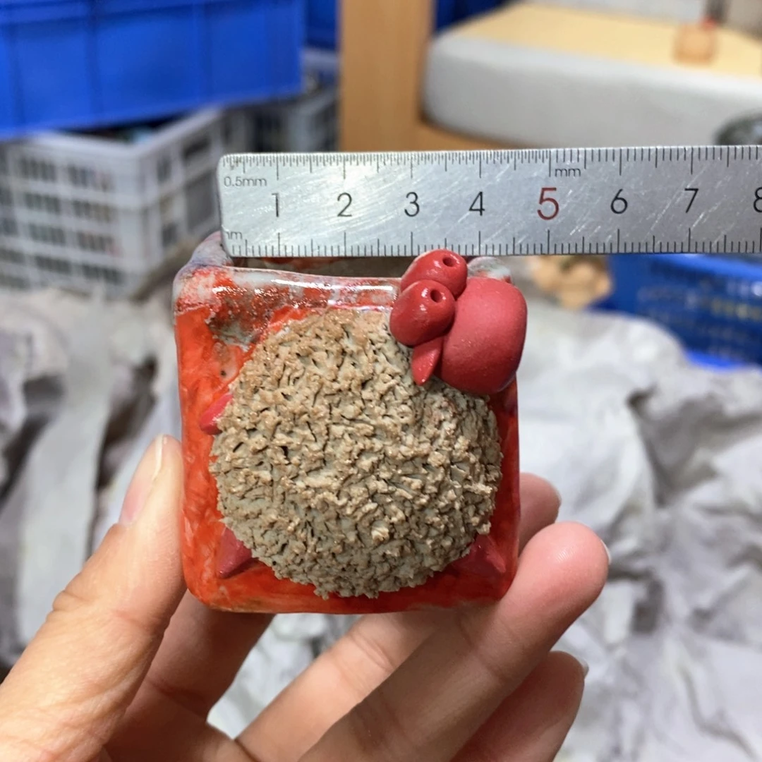 花盆拍3送一个小礼物