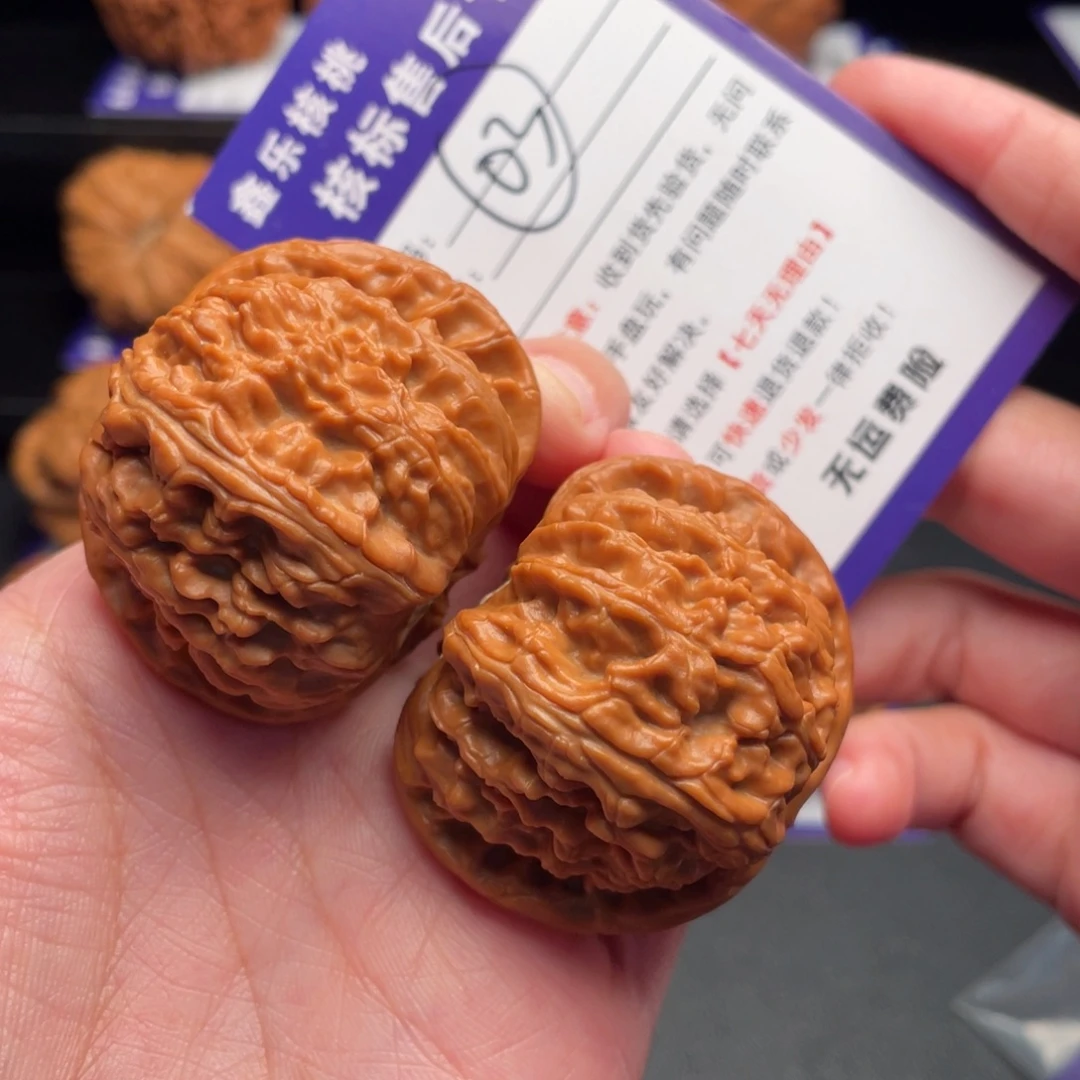 把件文玩核桃白狮子44肚子46