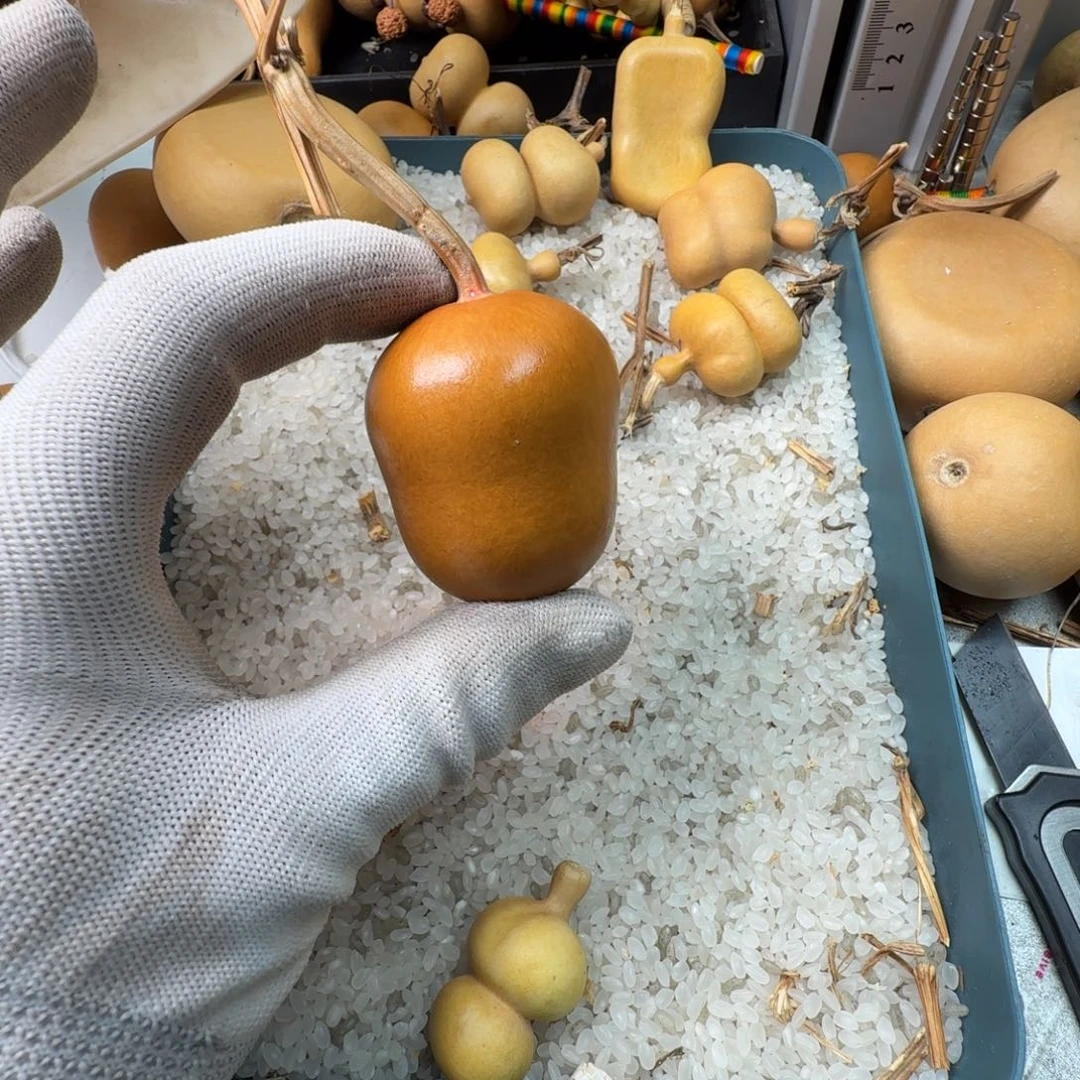 糖***娅天然葫芦000000000