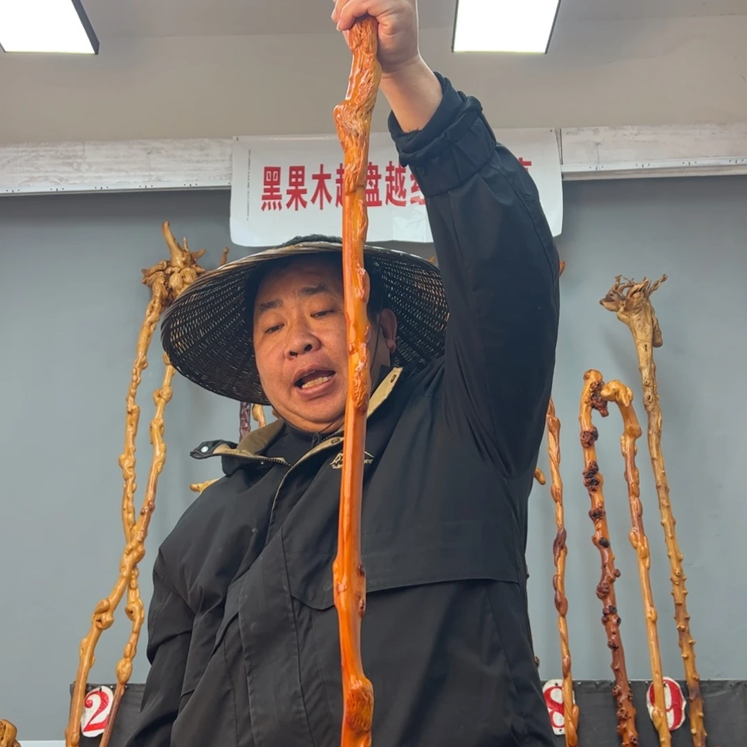 黑果木其他阳*黑果木879