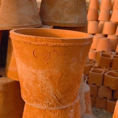 红陶口21高度18微瑕