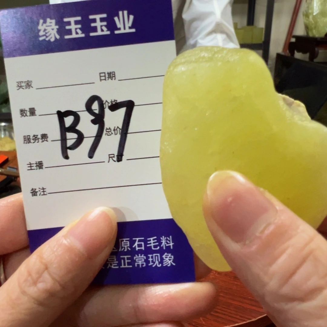 闲***水蛇纹石玉未镶嵌原石B97