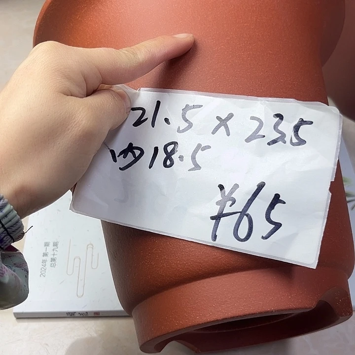 花盆紫砂988558888888855885888
