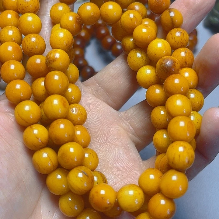 大果紫檀（缅甸花梨）