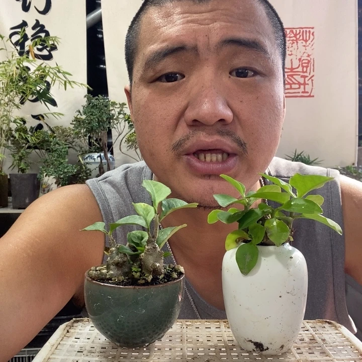 无花朵退款拉黑拉黑70