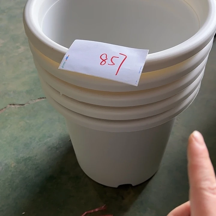 编号857特价微瑕