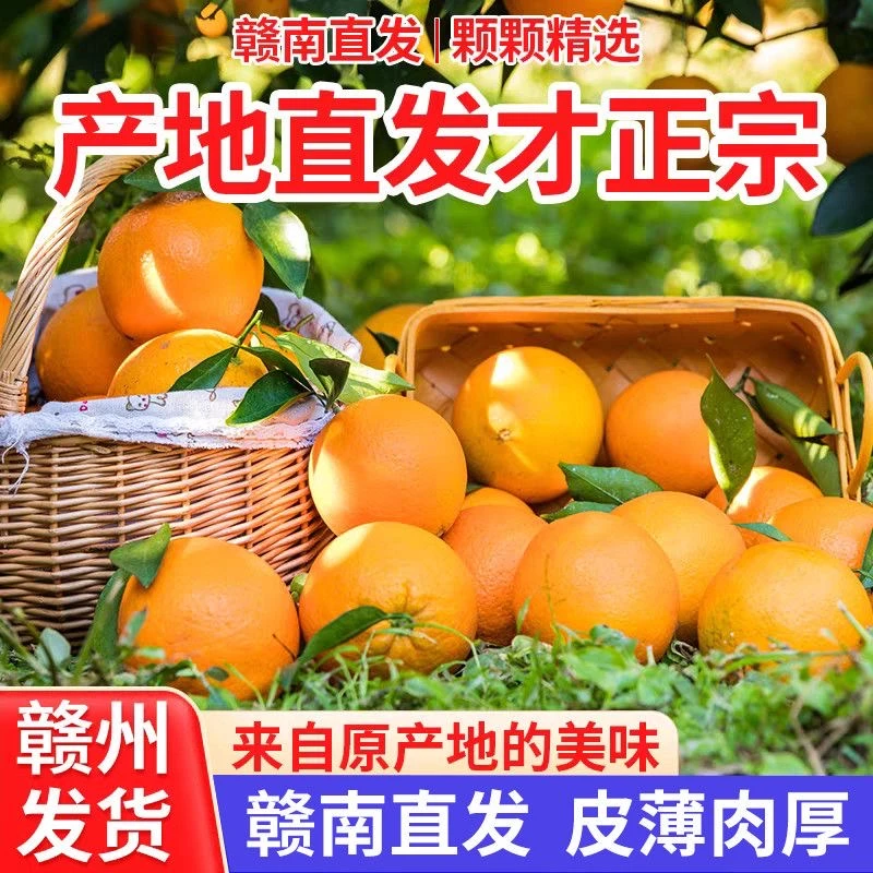 （爱心助农）正宗江西赣南脐橙新鲜现摘当季水果甜橙多汁手剥橙