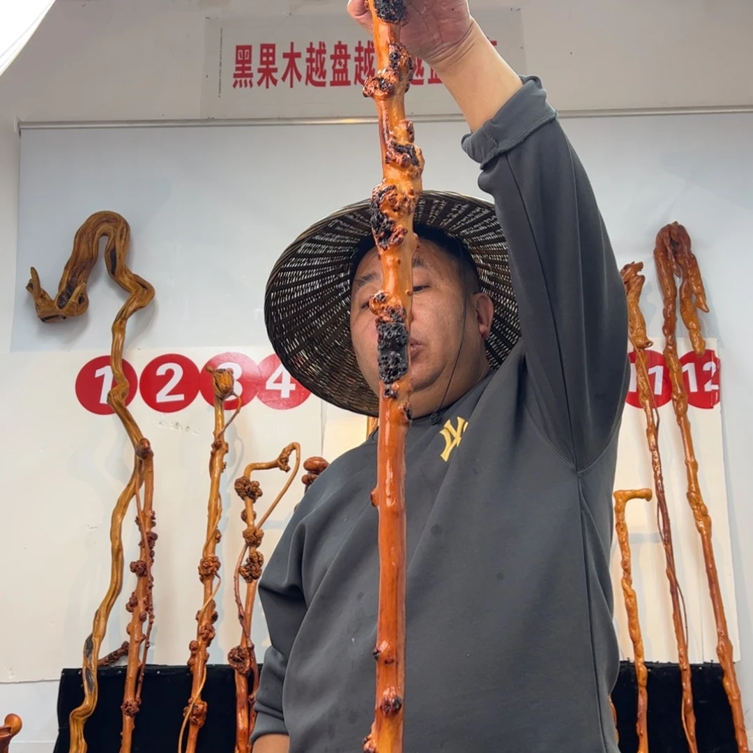 黑果木其他黑果木837