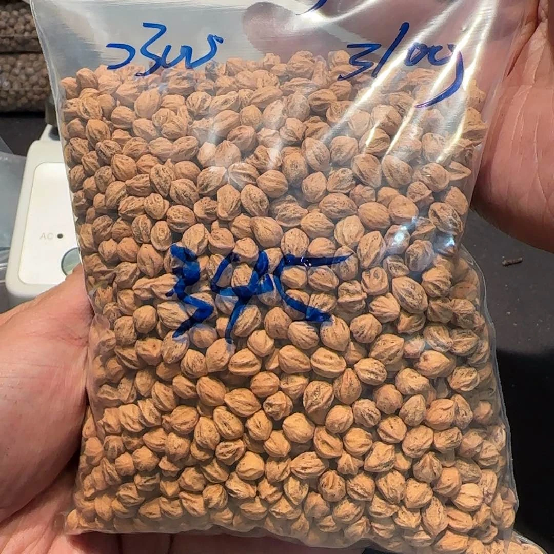 柏香籽/百香籽吊坠爱**深6.5 310g