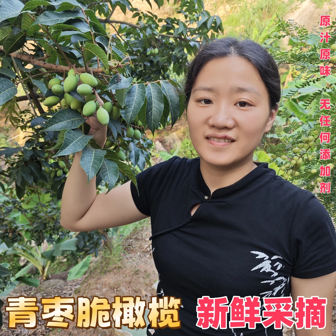 潮汕金灶 青枣脆橄榄 新鲜采摘 适合生吃煲汤泡酒  孕妇水果