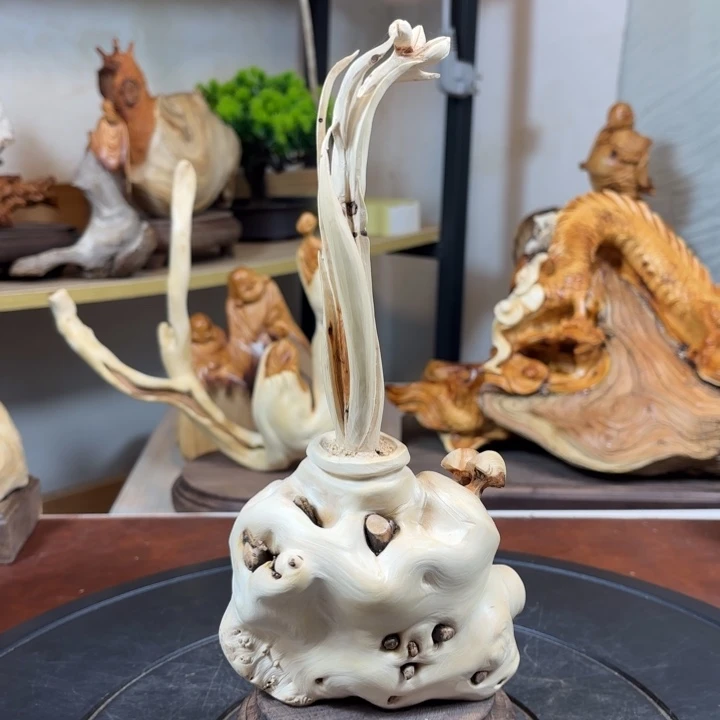 柏木（崖柏）vhgcvbghhh