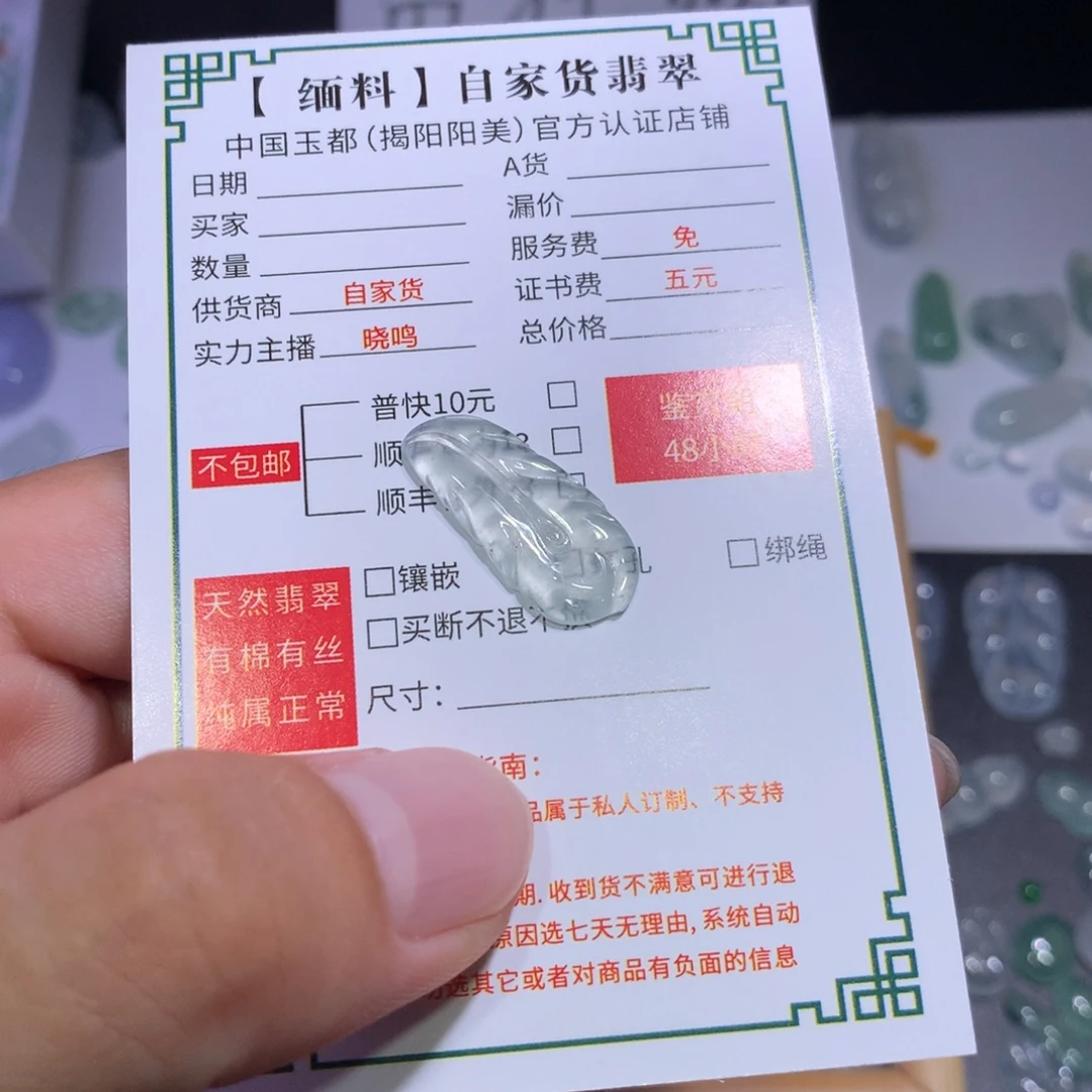 颈饰未镶嵌翡翠羽毛