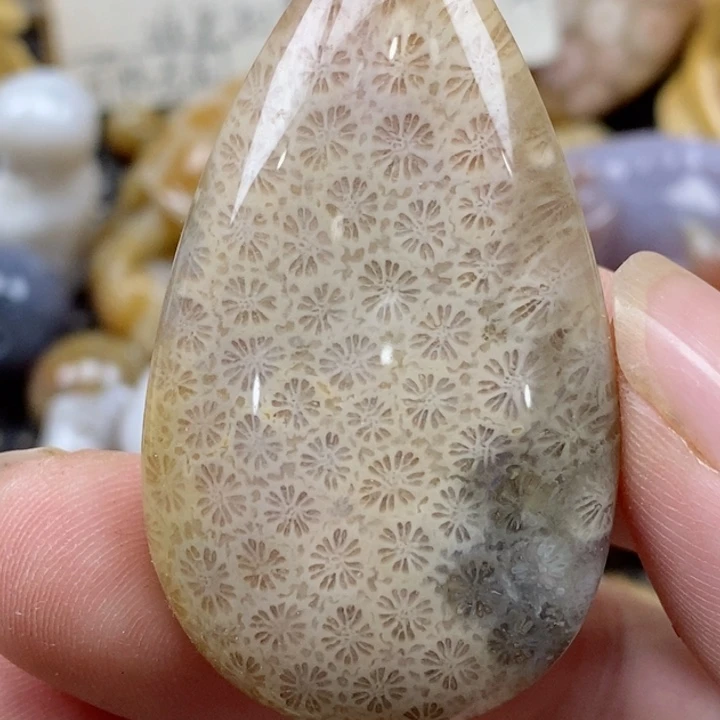 颈饰未镶嵌硅化珊瑚（珊瑚玉）