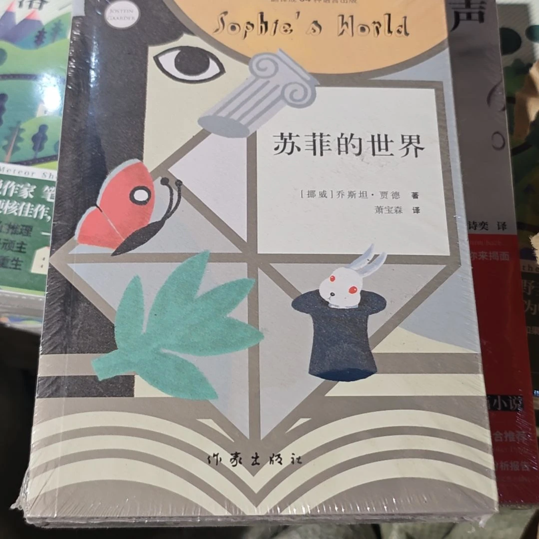 苏菲的世界平装塑封库存书