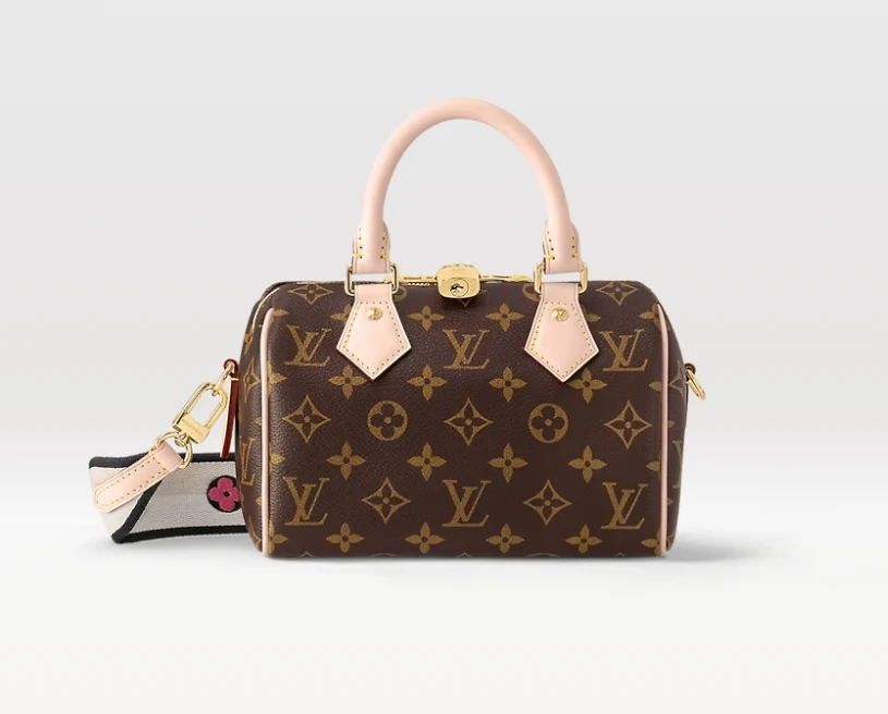99新 LouisVuitton/路易威登 菜菜 LV 老花 speedy 20 枕头包