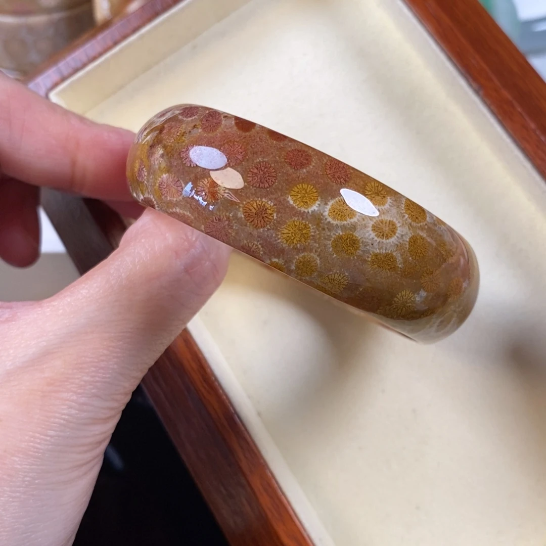 硅化珊瑚（珊瑚玉）未镶嵌手镯53.8口500