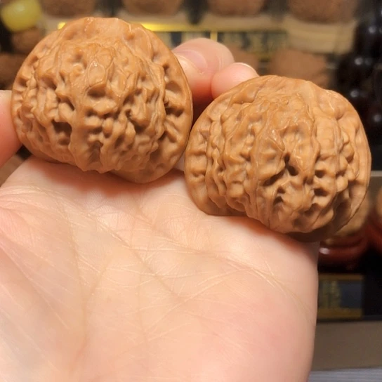 精品野生秦公子全品