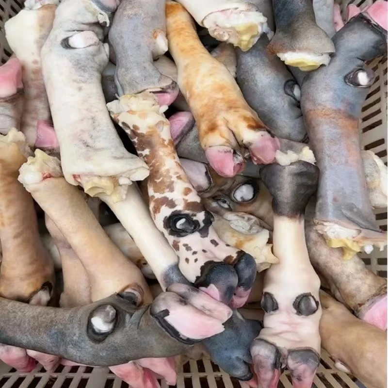 新鲜无注水带筋花羊蹄净重8斤 冰鲜到家