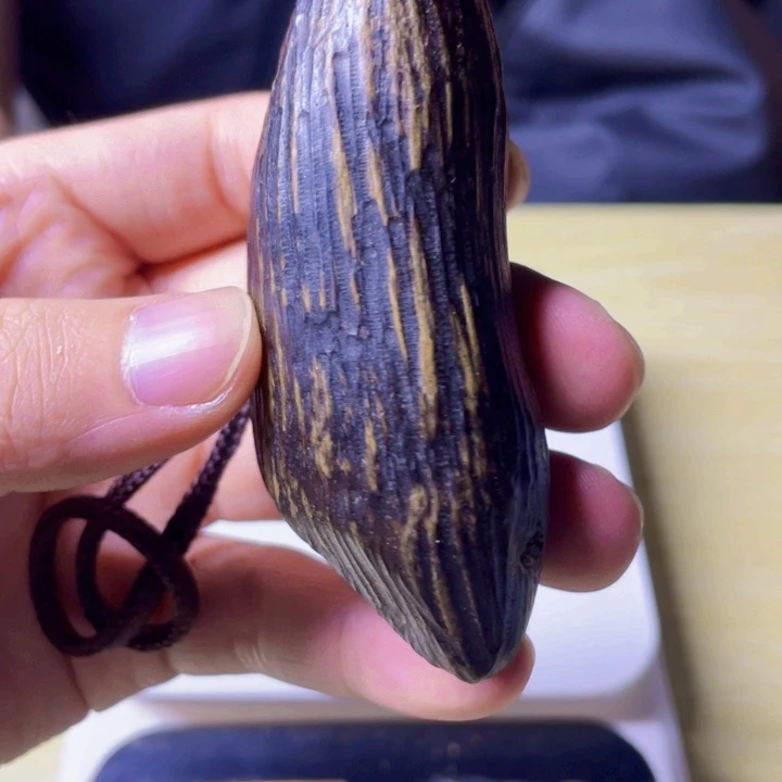 无非金属芽庄黑油虫漏