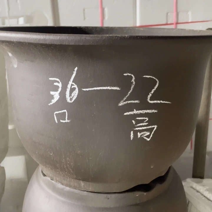 周深周深周深周深周深
