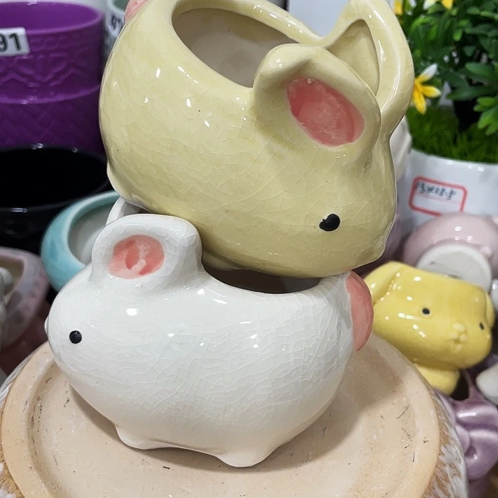 花盆花盆花盆花盆花盆花盆花盆