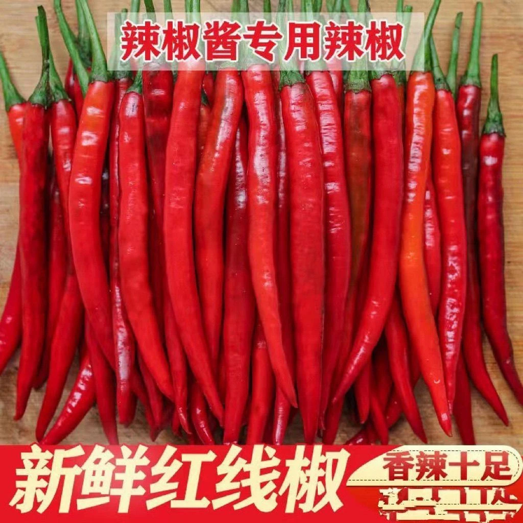 正宗贵州线椒新鲜现摘红辣椒二荆条红线椒尖椒可做剁椒酱泡椒