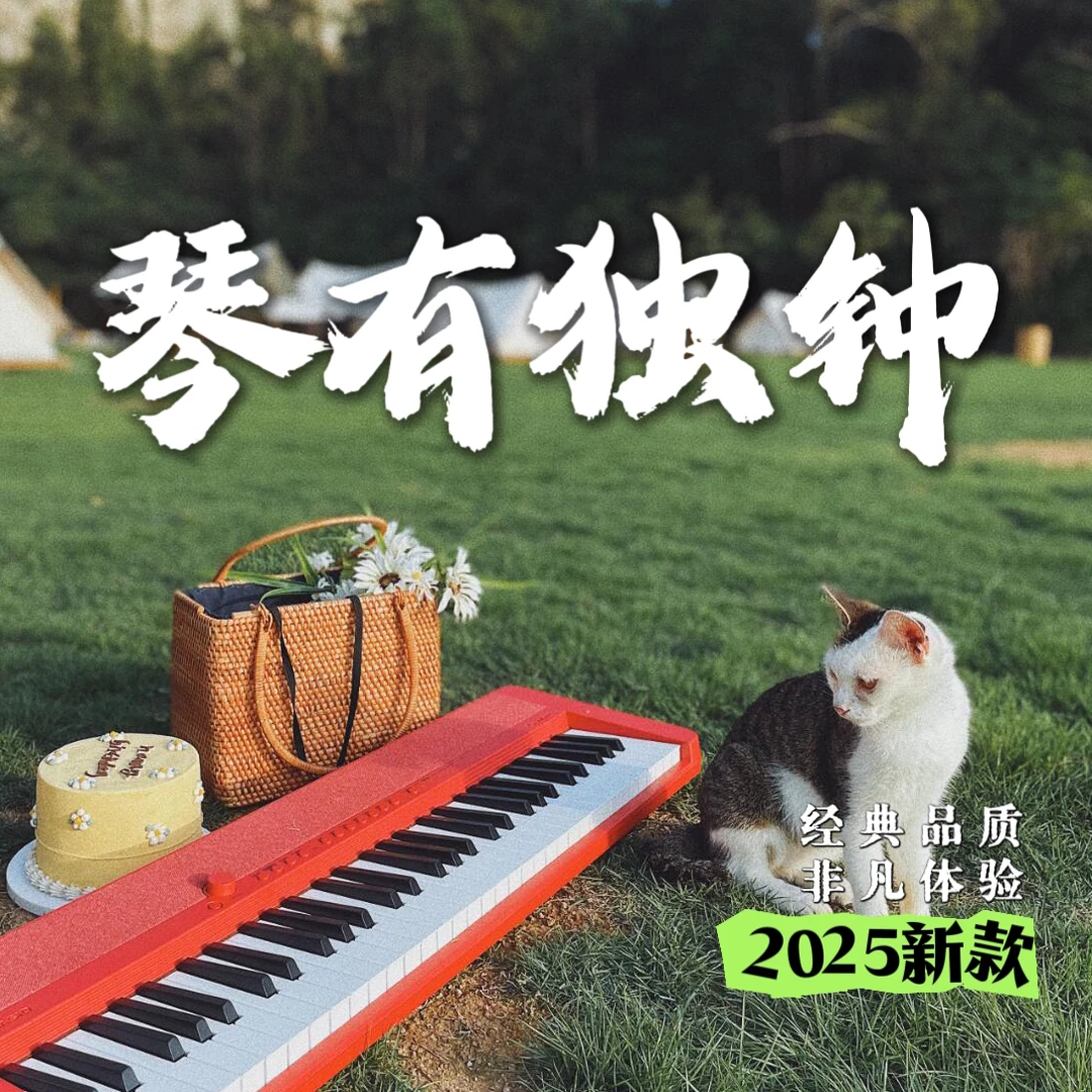 电子琴重低音DJ-2025新款